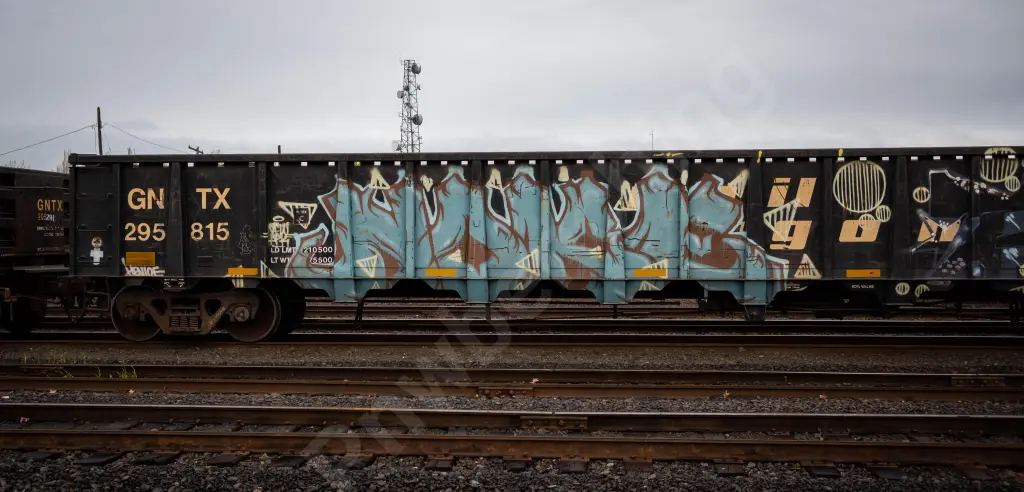 GNTX295815 - NORTH-AMERICA