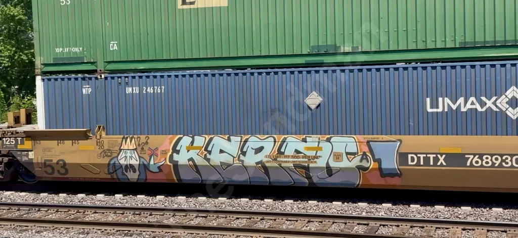 DTTX768930 - NORTH-AMERICA