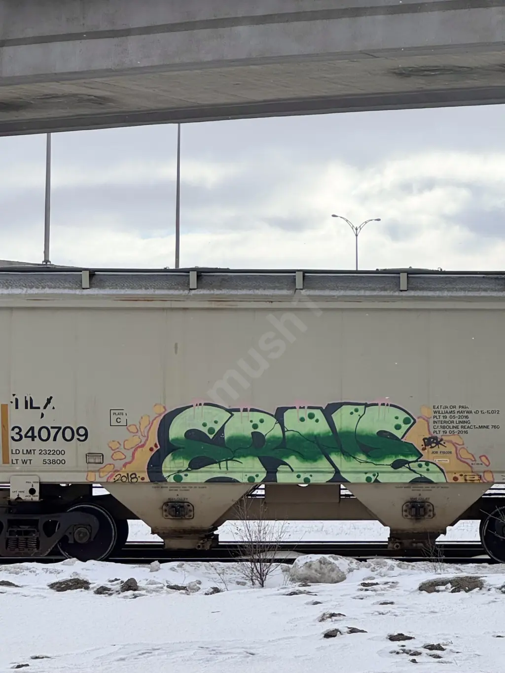 TILX340709 - NORTH-AMERICA
