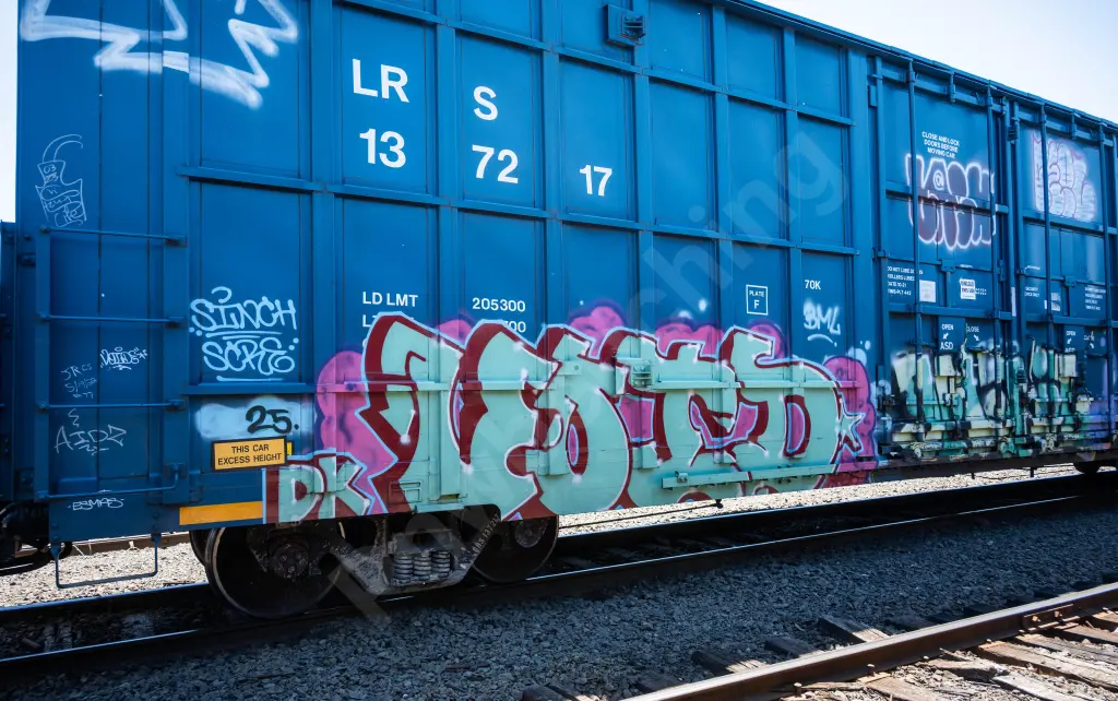 LRS137217 - NORTH-AMERICA