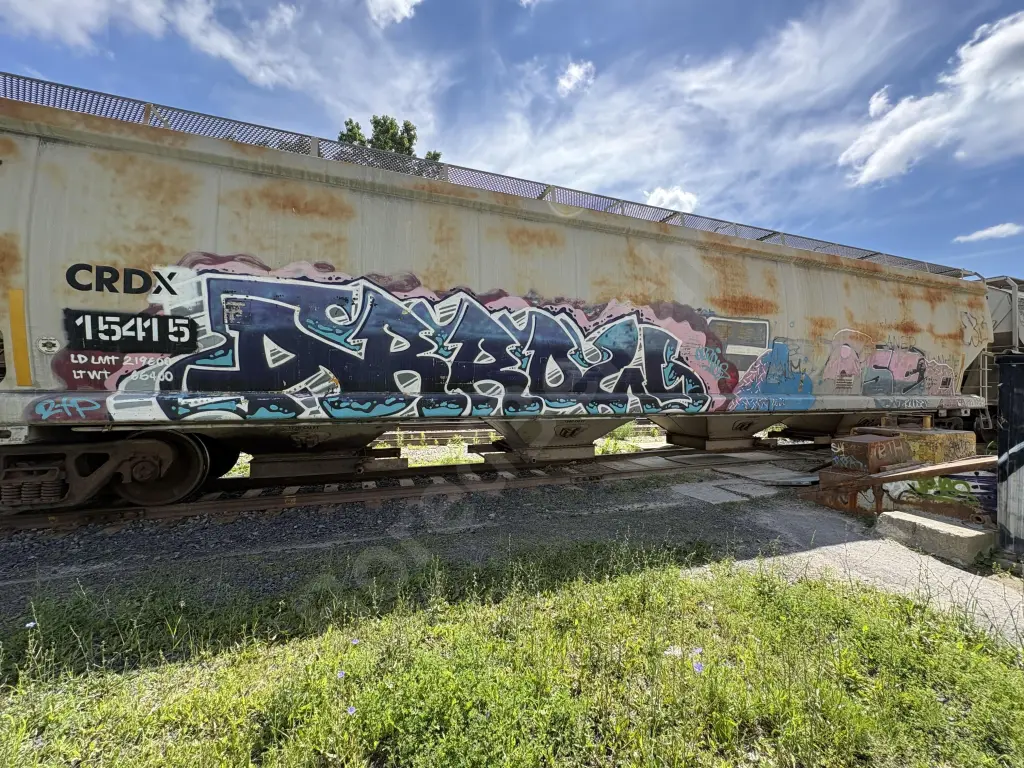 CRDX15415 - NORTH-AMERICA