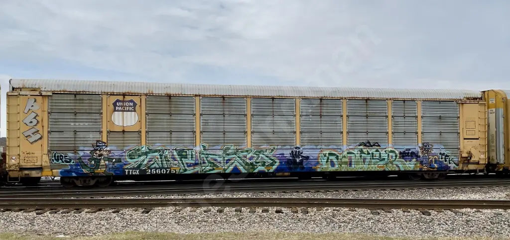 TTGX256075 - NORTH-AMERICA