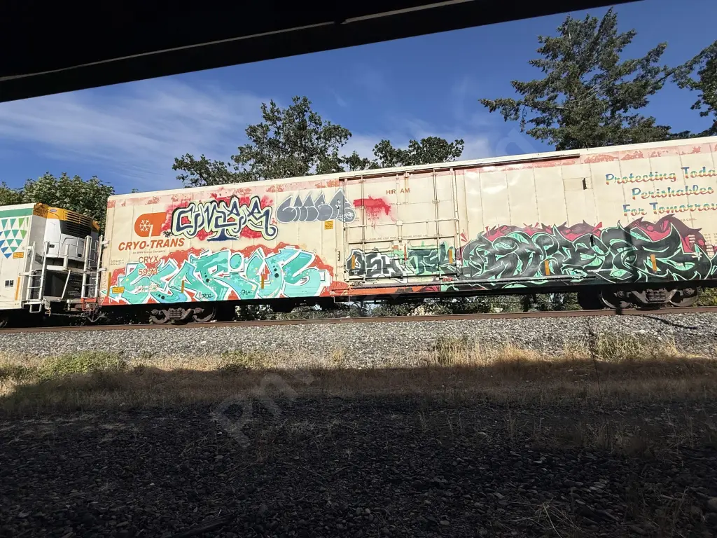 CRYX5954 - NORTH-AMERICA