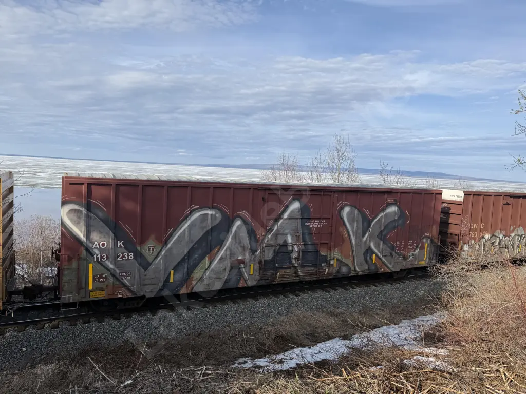 AOK113238 - NORTH-AMERICA