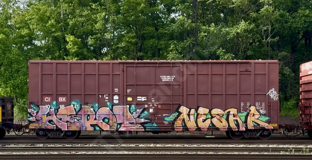 Train photo