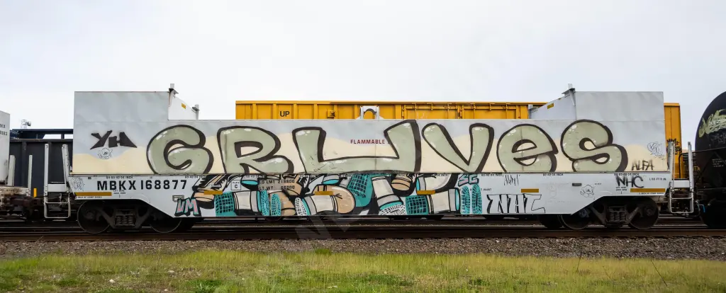 MBKX168877 - NORTH-AMERICA