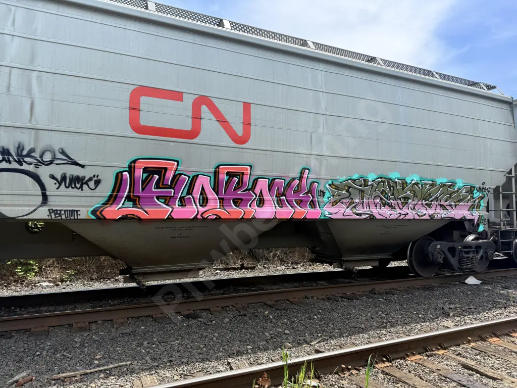 CN115577 - NORTH-AMERICA