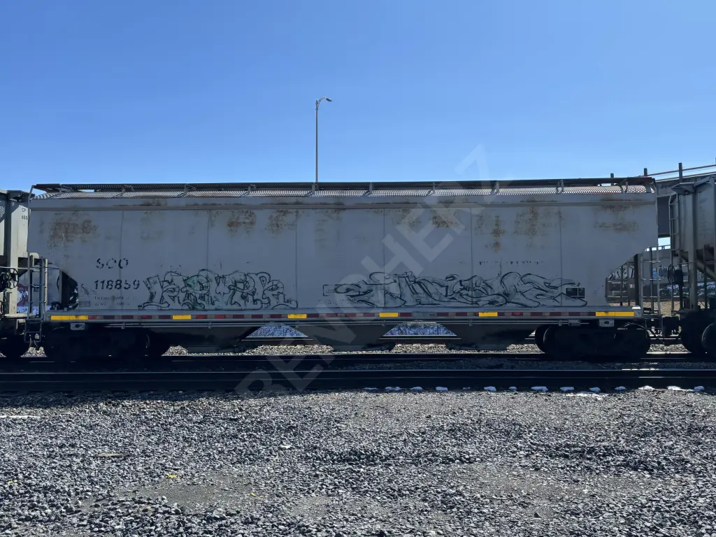 SOO118859 - NORTH-AMERICA