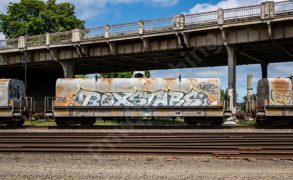 MBKX168800 - NORTH-AMERICA