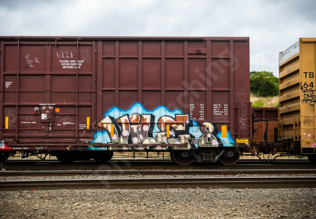 BKTY156928 - NORTH-AMERICA