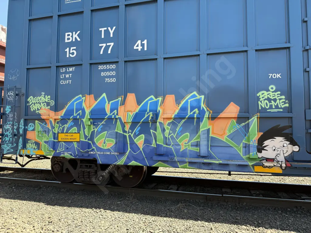BKTY157741 - NORTH-AMERICA