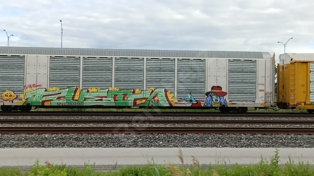 SFLC307756 - NORTH-AMERICA