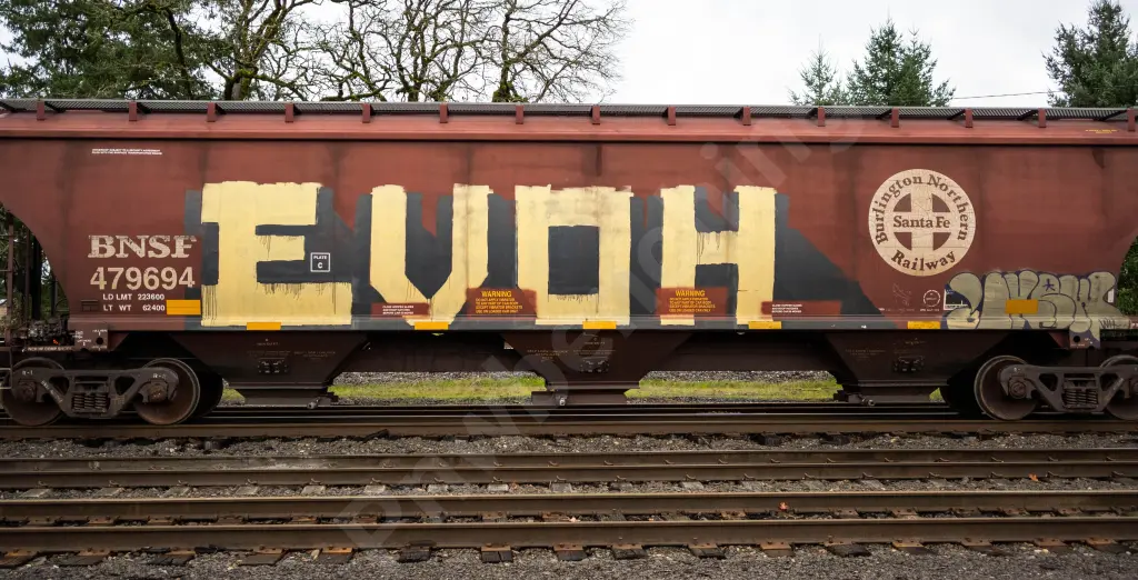 BNSF479694 - NORTH-AMERICA