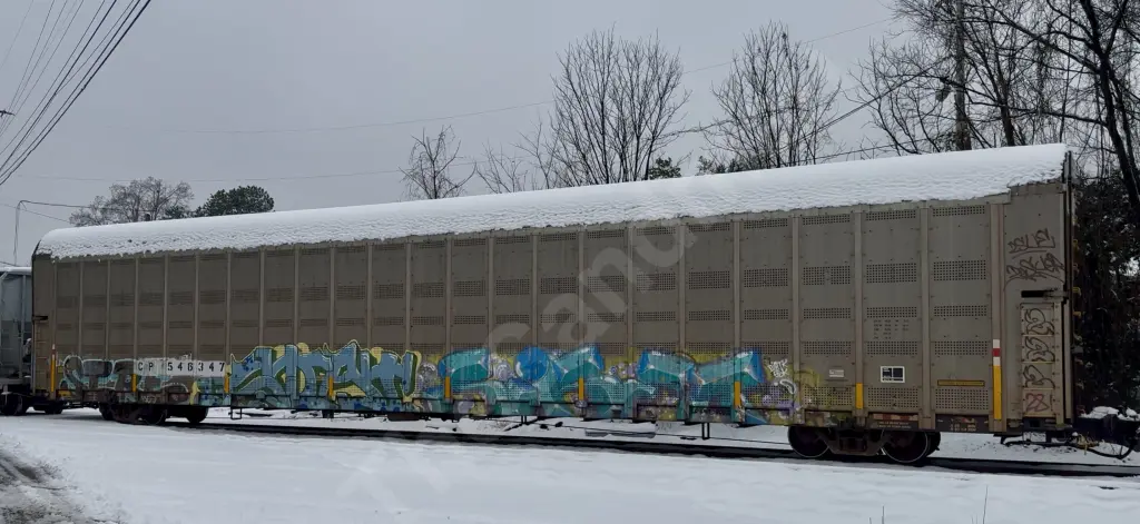 CP546347 - NORTH-AMERICA