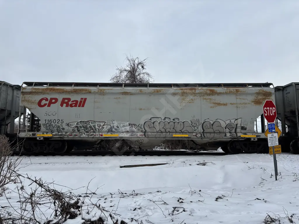 SOO116025 - NORTH-AMERICA