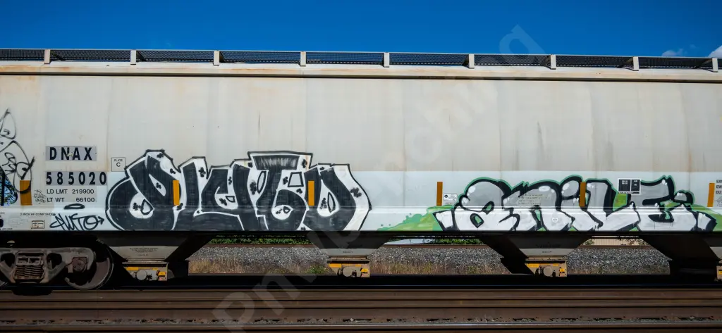 DNAX585020 - NORTH-AMERICA