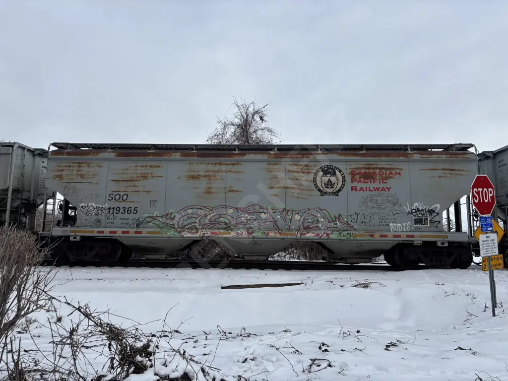 SOO119365 - NORTH-AMERICA