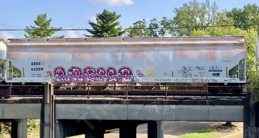 BRKX62209 - NORTH-AMERICA
