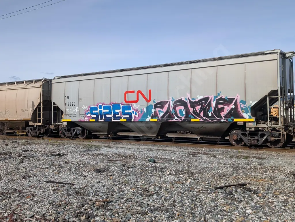 CN113826 - NORTH-AMERICA