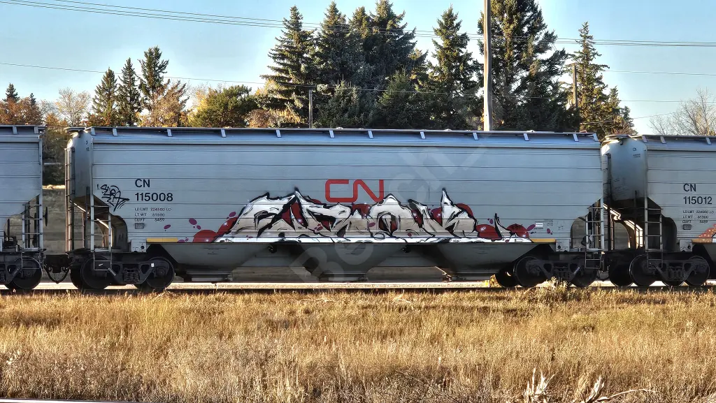 CN115008 - NORTH-AMERICA