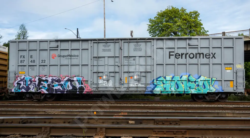 FXE874822 - NORTH-AMERICA