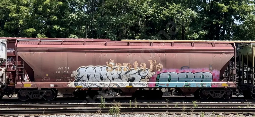 Train photo