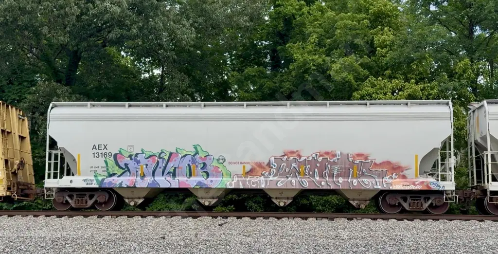 AEX13169 - NORTH-AMERICA