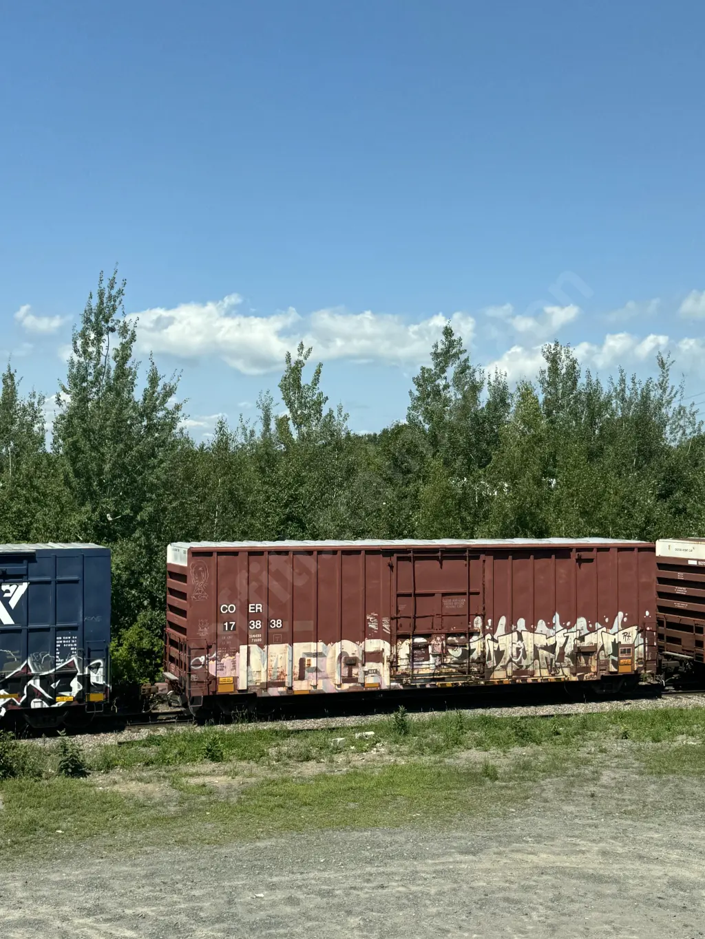 COER173838 - NORTH-AMERICA