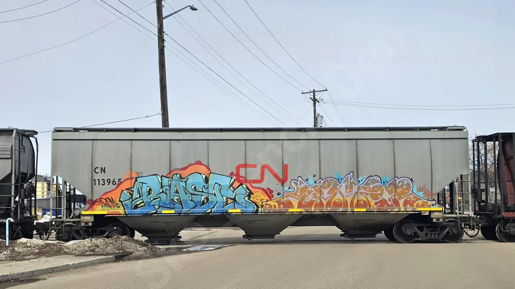 CN113965 - NORTH-AMERICA