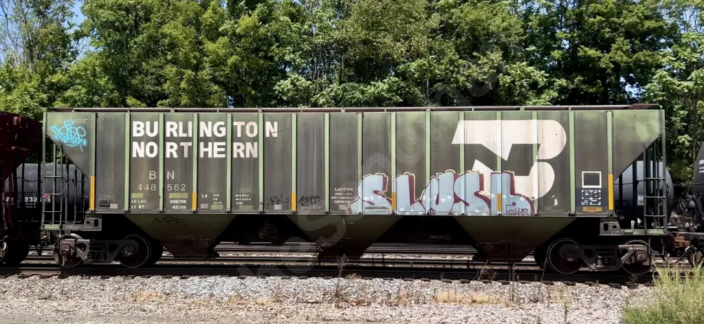 BN448562 - NORTH-AMERICA