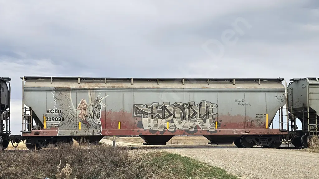 BCOL829038 - NORTH-AMERICA