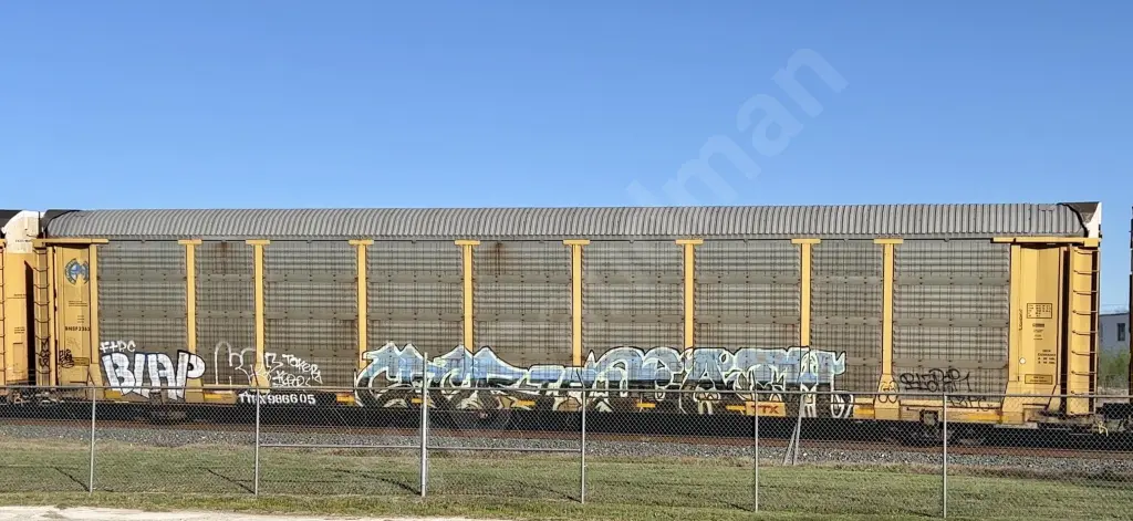 TTGX986605 - NORTH-AMERICA