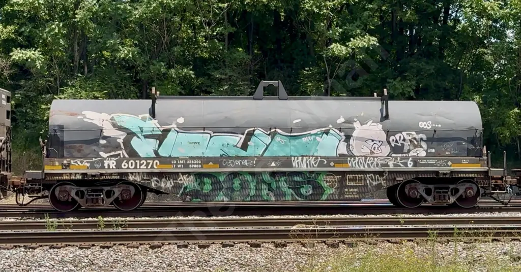 TR601270 - NORTH-AMERICA
