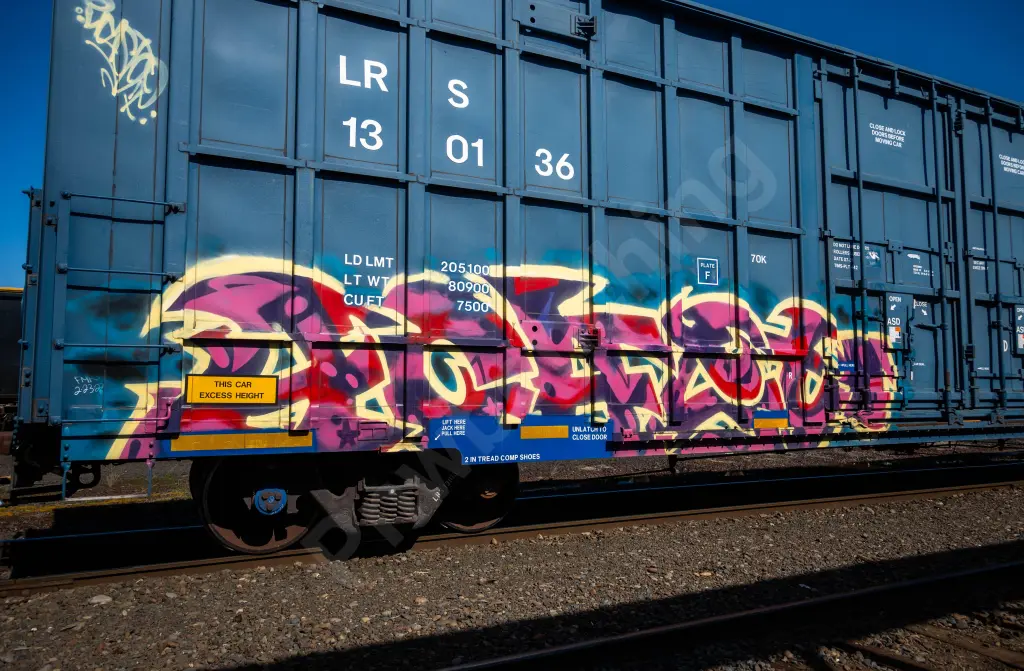 LRS130136 - NORTH-AMERICA