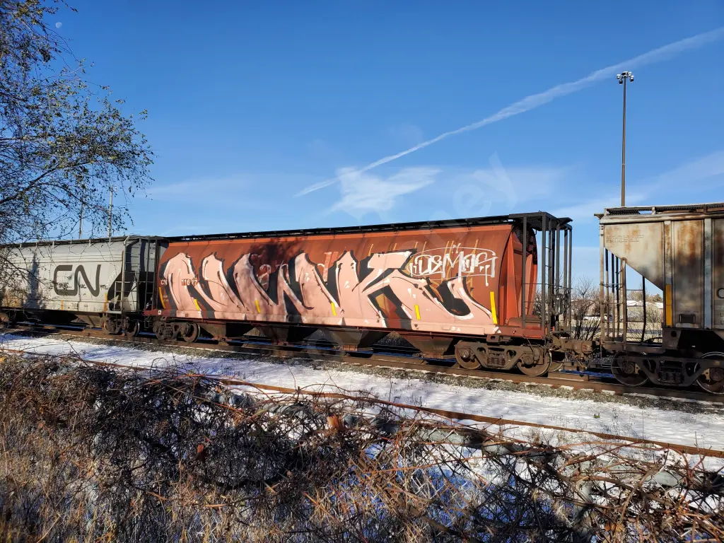 CN11677 - NORTH-AMERICA