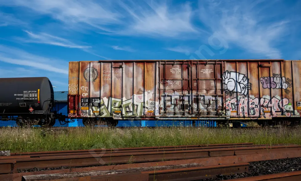 CP218238 - NORTH-AMERICA