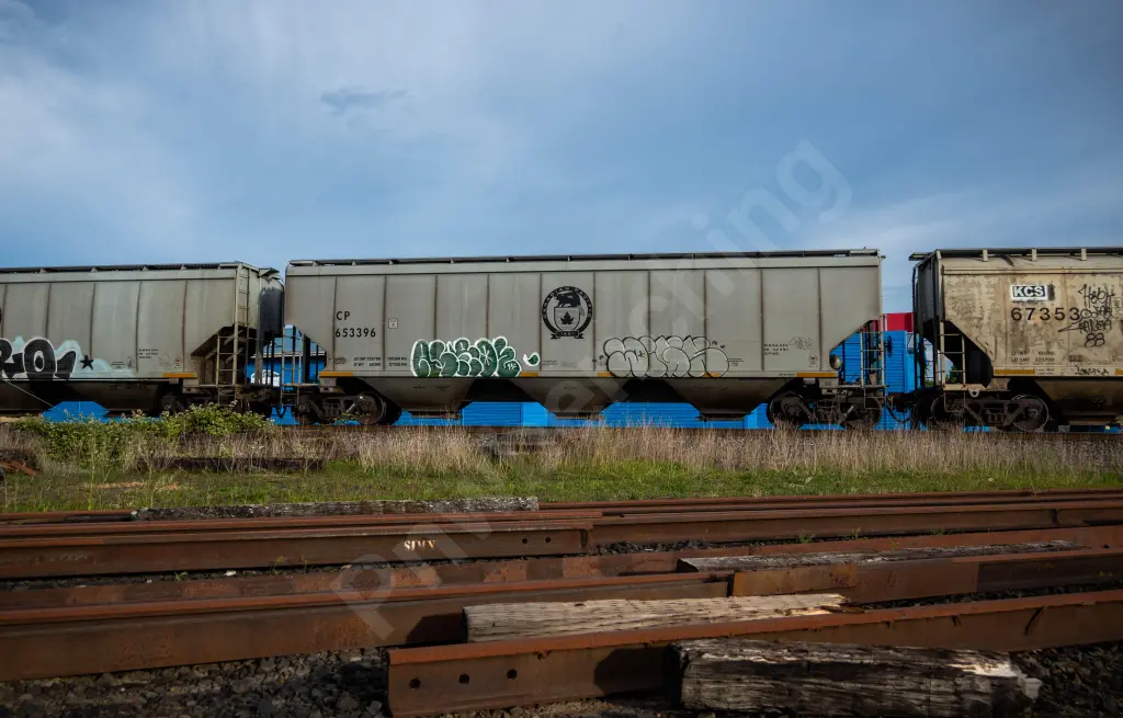 CP653396 - NORTH-AMERICA