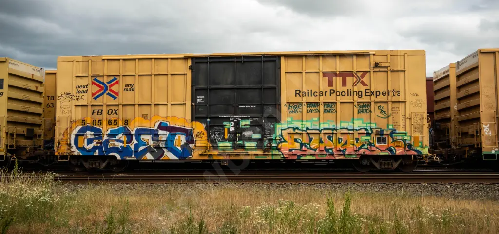 FBOX505658 - NORTH-AMERICA