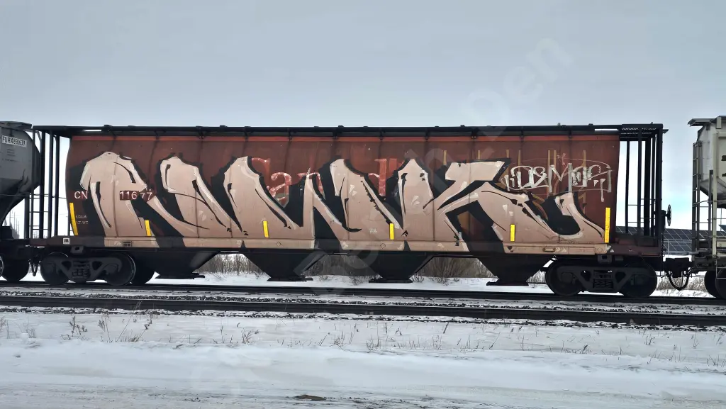 CN11677 - NORTH-AMERICA