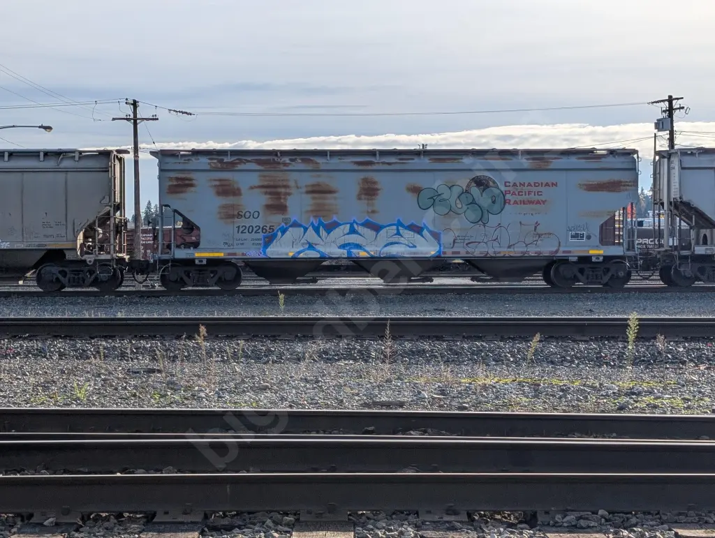 SOO120265 - NORTH-AMERICA