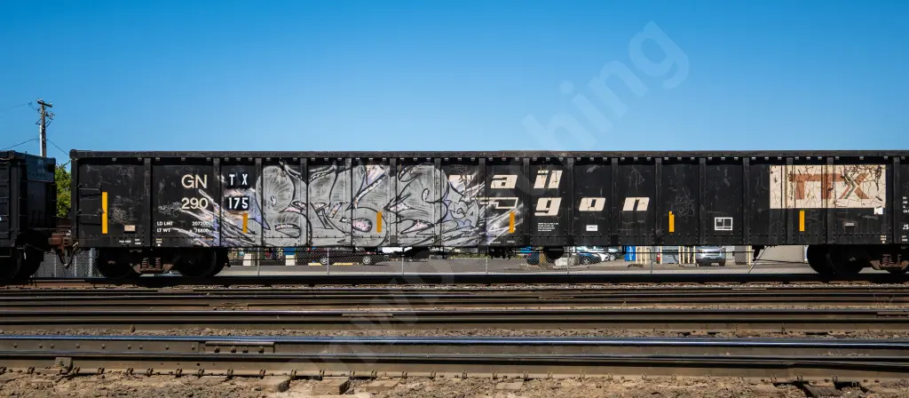 GNTX290175 - NORTH-AMERICA