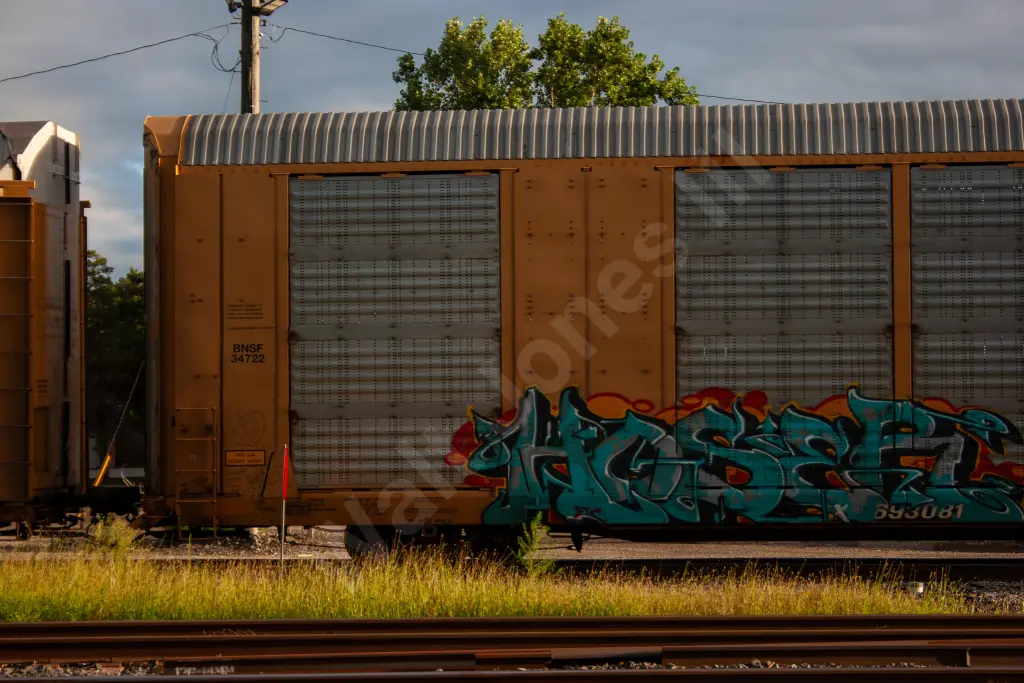 TTX693081 - NORTH-AMERICA