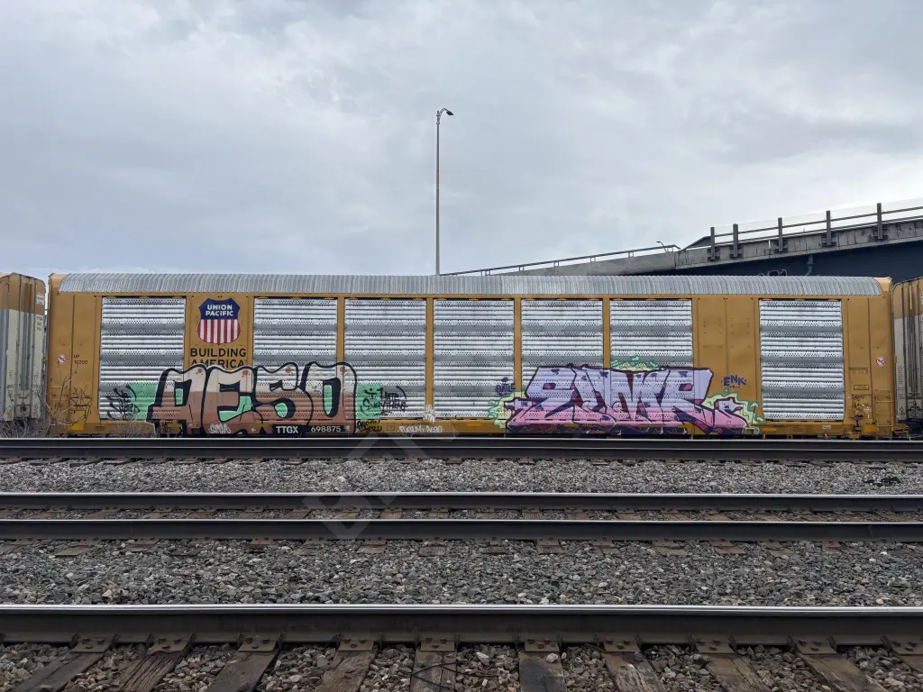 TTGX698875 - NORTH-AMERICA