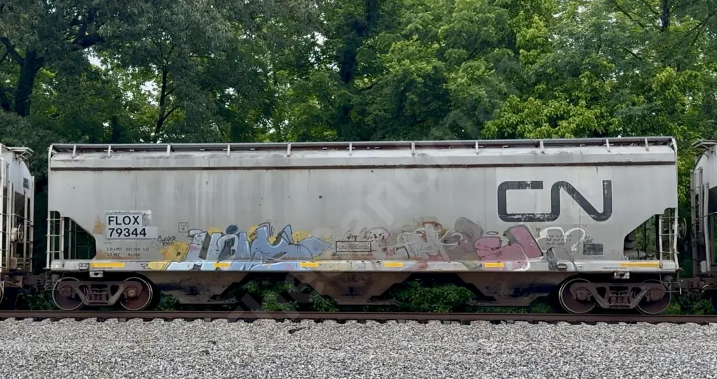 Train photo