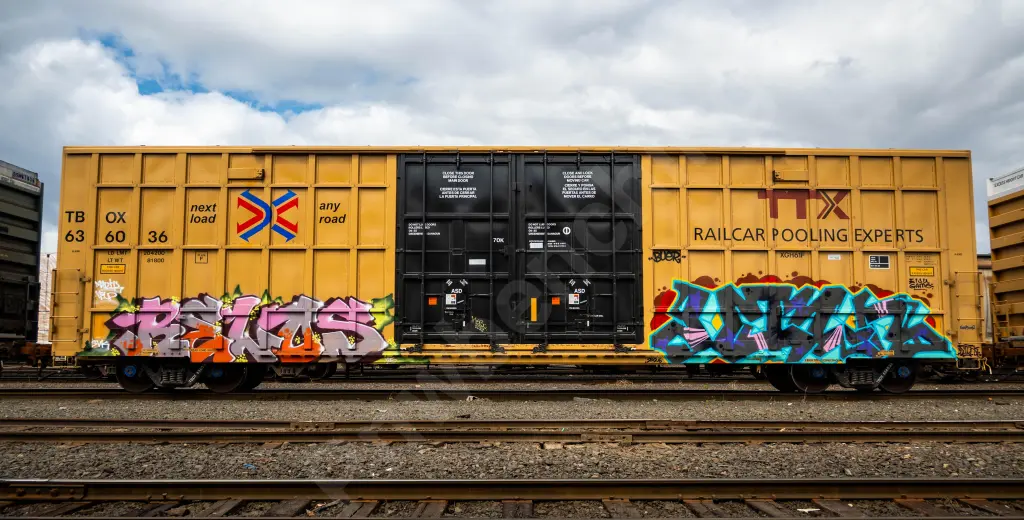 TBOX636036 - NORTH-AMERICA