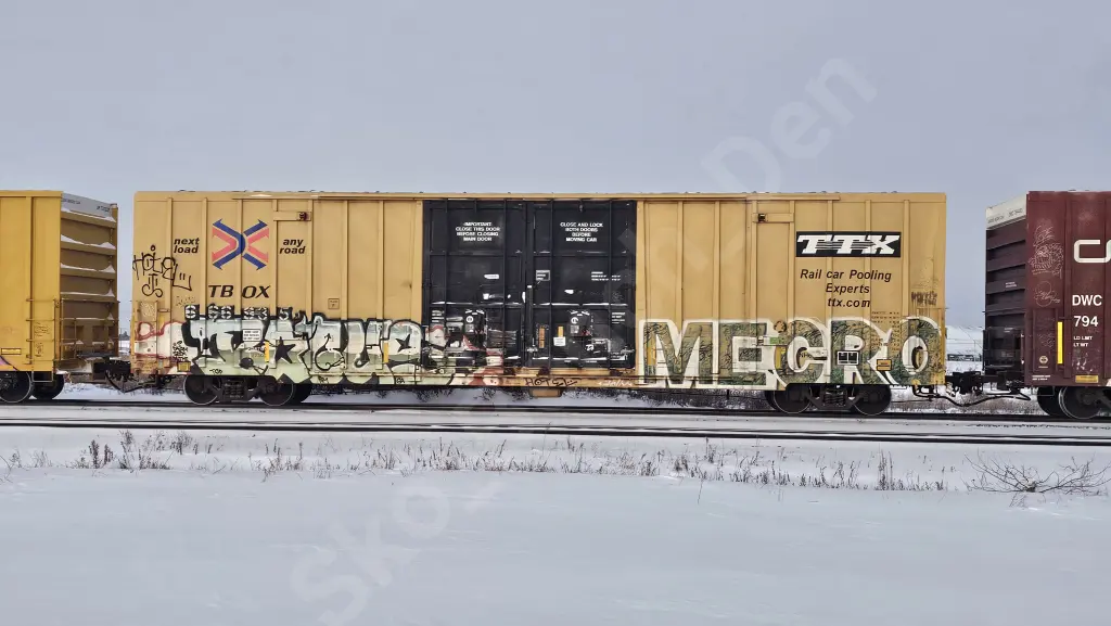 TBOX666935 - NORTH-AMERICA
