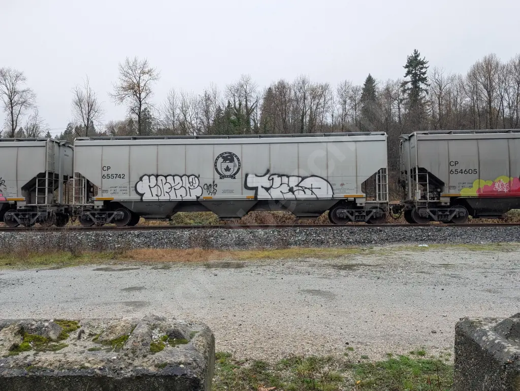 CP655742 - NORTH-AMERICA
