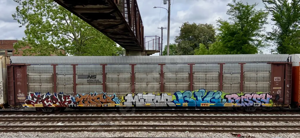 TTGX974562
