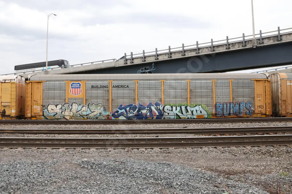 TTGX255825 - NORTH-AMERICA