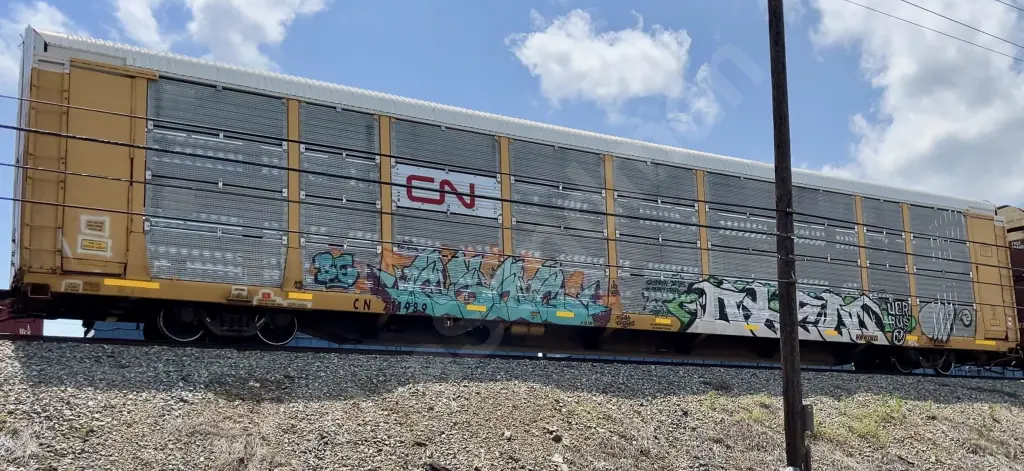 CN711989 - NORTH-AMERICA